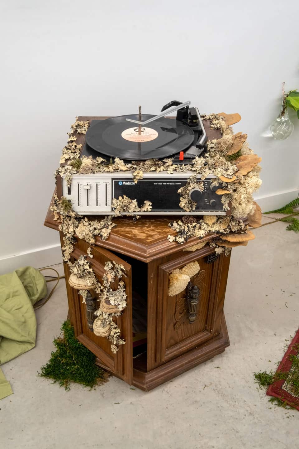 Peculiar Movements/Green Junctions at NAMARA projects